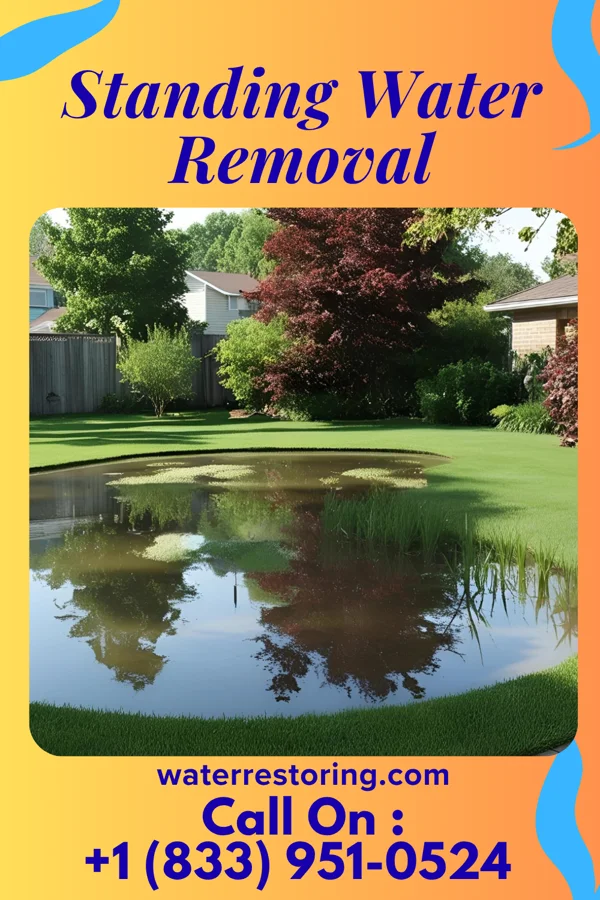 Standing Water Removal in Hancock, MI